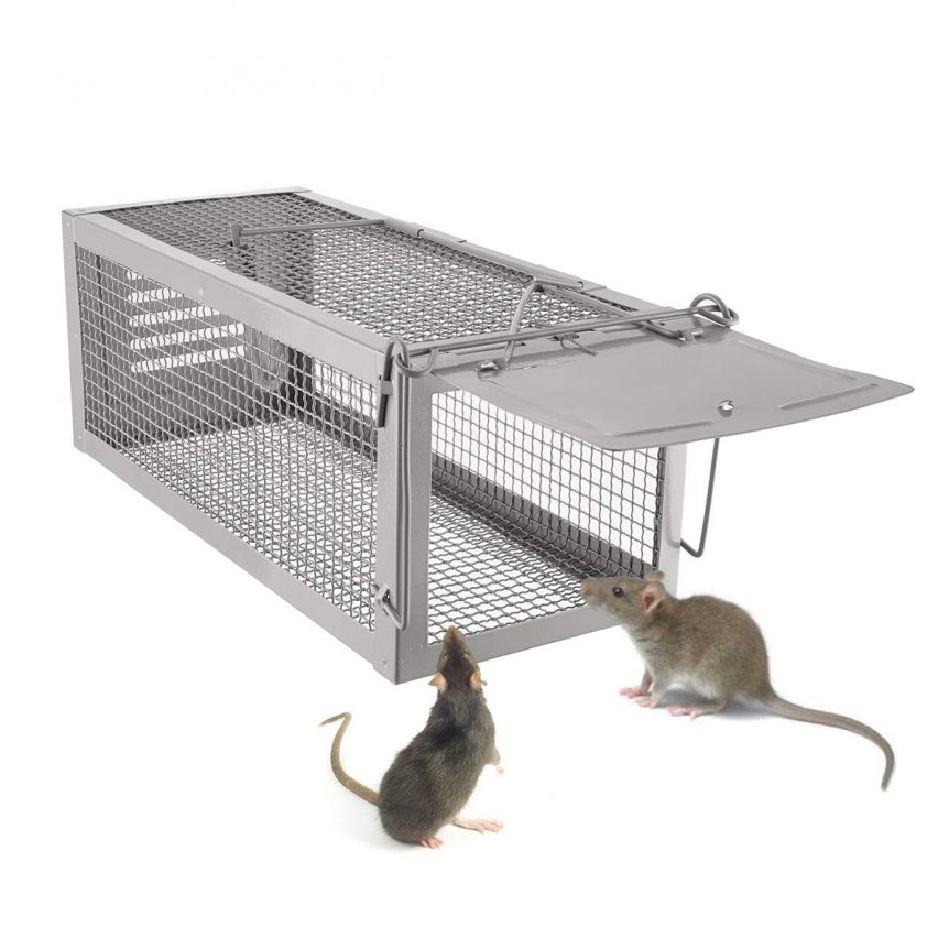 RATSENSE - Why Your Rat Trap May Not Work